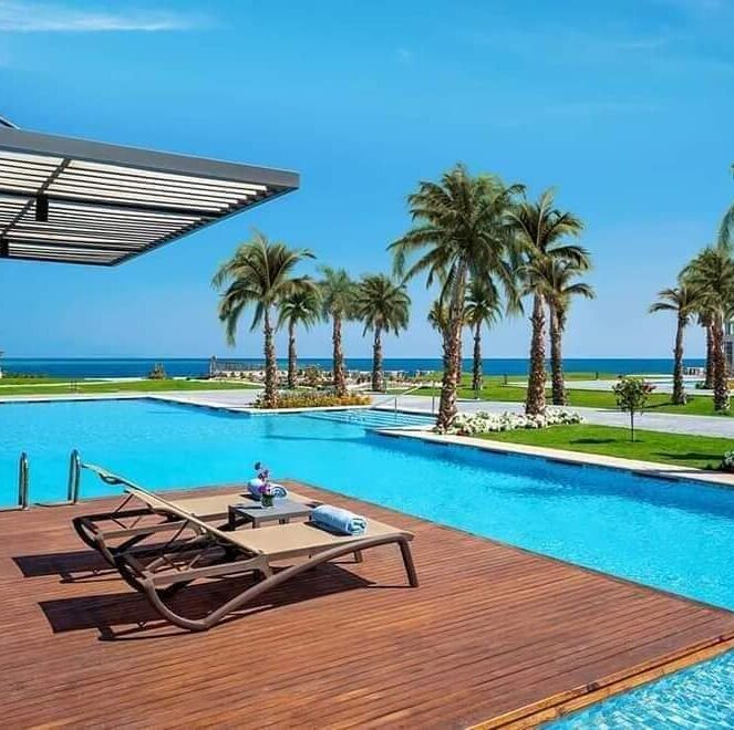 281861747_5407140922643226_4492043371671626537_n 281861747_5407140922643226_4492043371671626537_n