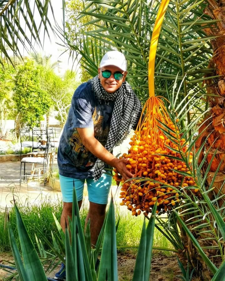 سيوة 🏝️ 4 أيام 📆 الجمعة 13 نوفمبر 🚌 من بورسعيد